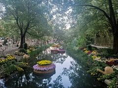 -上海共青森林公园