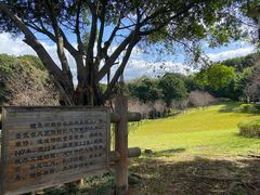 -福建鲤鱼洲酒店