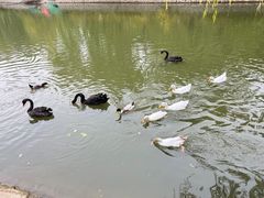 -南翠屏公园