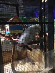 -酷嗒动物文化乐园(cutezoo西溪乐天城店)