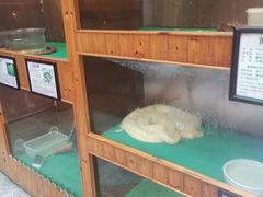 -上海大自然野生昆虫馆(东方明珠·爬宠昆虫探索中心)