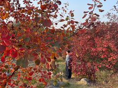 -青州市云门山风景区