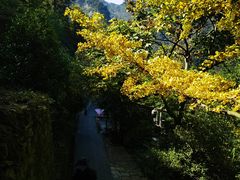 -武当山风景区