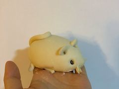 -白玉兰传统小吃