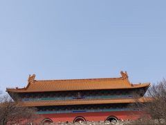 -梅花山(明孝陵内)