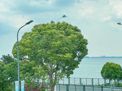 -蟹天蟹地农家菜·阳澄湖大闸蟹(浅水湾店)
