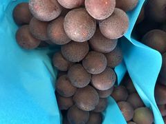 -马陆小张葡萄园农家乐