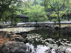 -天下玉苑