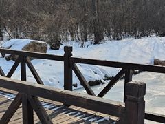 -沈阳鸟岛
