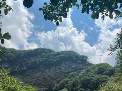 -牛背梁国家森林公园