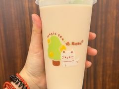 -猫的魔法密林(衣裳街店)