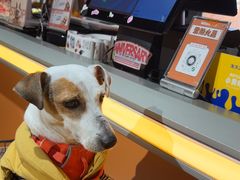 -MARSMART PETS火星宠物超市(1733店)