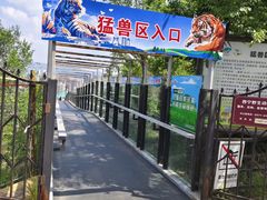 -青藏高原野生动物园