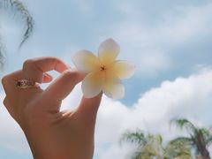 -天悦阁海景酒廊