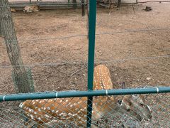 -大连铭湖国际观光牧场