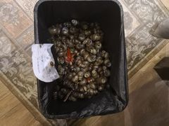 -火龙堂·风味民间菜(文一路店)