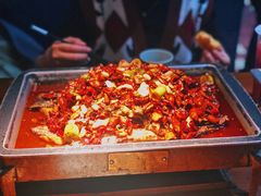 -锦尚阁烤鱼(望京新荟城店)