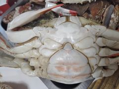 -毕家疃综合市场