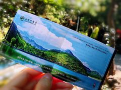 门票-山叶口景区