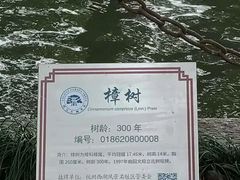-湖畔居茶楼(湖滨店)
