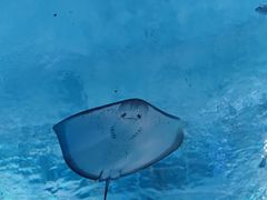 -海合安武汉极地海洋公园