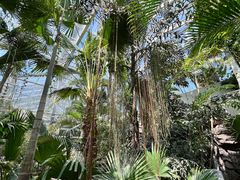 -国家植物园南园