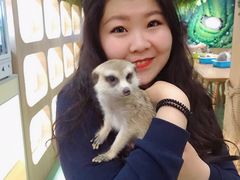 -藦茜花园宠物主题亲子互动体验馆(国顺东路店)