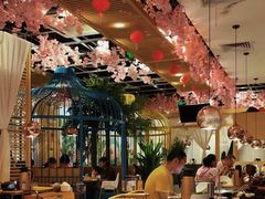 -椰贝原味椰子鸡(江南万达店)