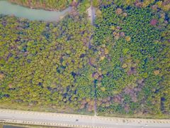 -青龙山国家森林公园