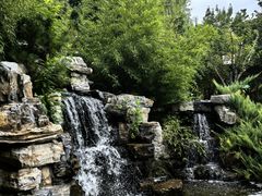 -南宫五洲植物乐园