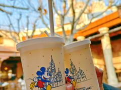 -上海迪士尼度假区