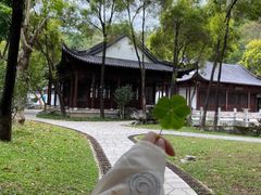 -深圳国际园林花卉博览园