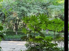 -杭州植物园
