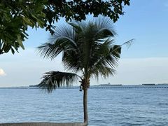 -巴拉湾海滩