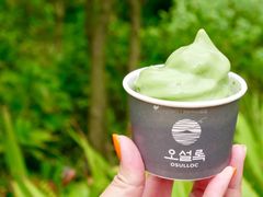 -雪绿茶博物馆