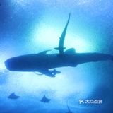 珠海长隆海洋王国 / 绝佳亲子游好去处
