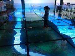 -上海长江河口科技馆
