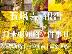 -北京石刻艺术博物馆
