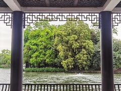 -荔湾湖公园
