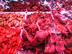 -九多肉多(五味什字店)