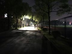 -浙江越秀外国语学院