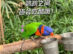 -南宫五洲植物乐园