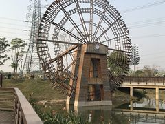 -王借岗森林公园