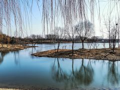 -东郊湿地公园