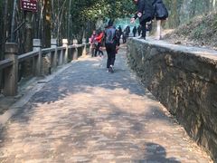 -灵岩山风景区