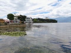 -洱海月湿地公园