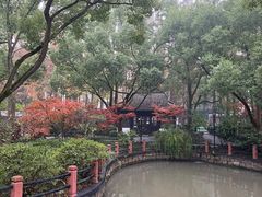-亭林公园