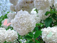 -大龙山(地铁站)