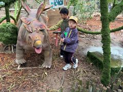 -呀路古热带植物园