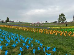 -云漫湖生态度假公园